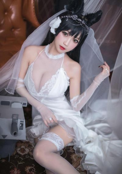 仙侣奇缘国语版免费观看完整版