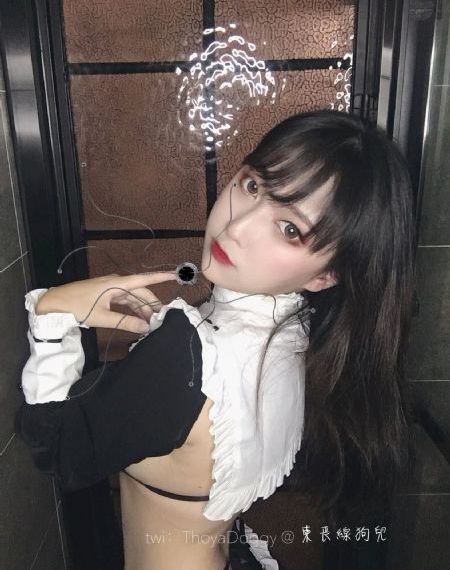 大奉打更人完整版