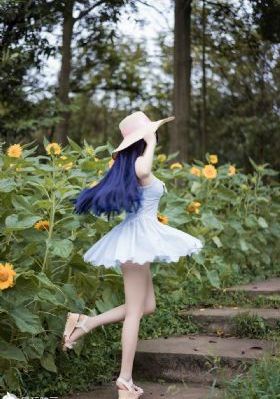 蔷薇风暴电视剧全集免费播放高清