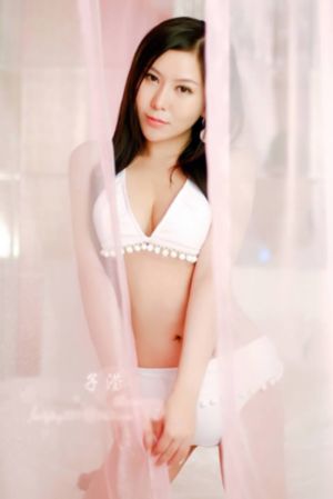 贤者之爱 电视剧