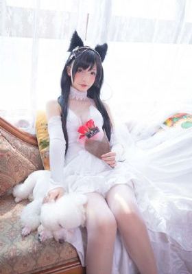 电视剧绝对权力